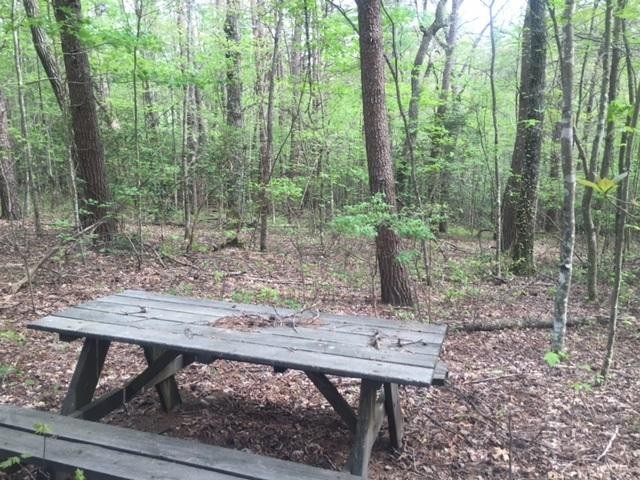 24 Woods Road Dunlap, TN 37327 - Photo 7 of 10 Gallery Image 7