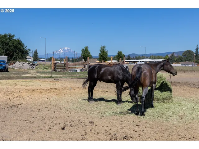 $324,999 | 1102 South Roosevelt Avenue, Goldendale, WA 98620