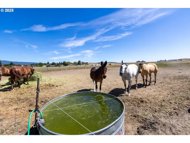 $324,999 | 1102 South Roosevelt Avenue, Goldendale, WA 98620