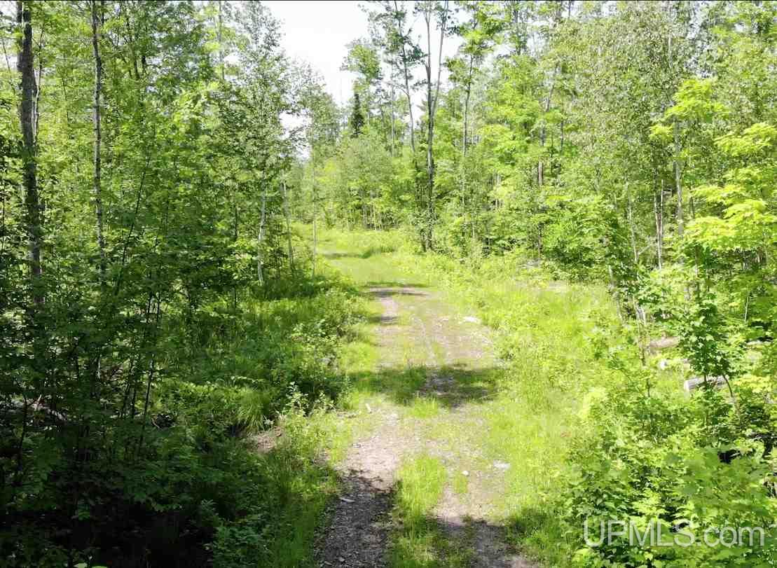 Tbd Upper Massie Road Chassell, MI 49916 - Photo 3 of 12 Gallery Image 3