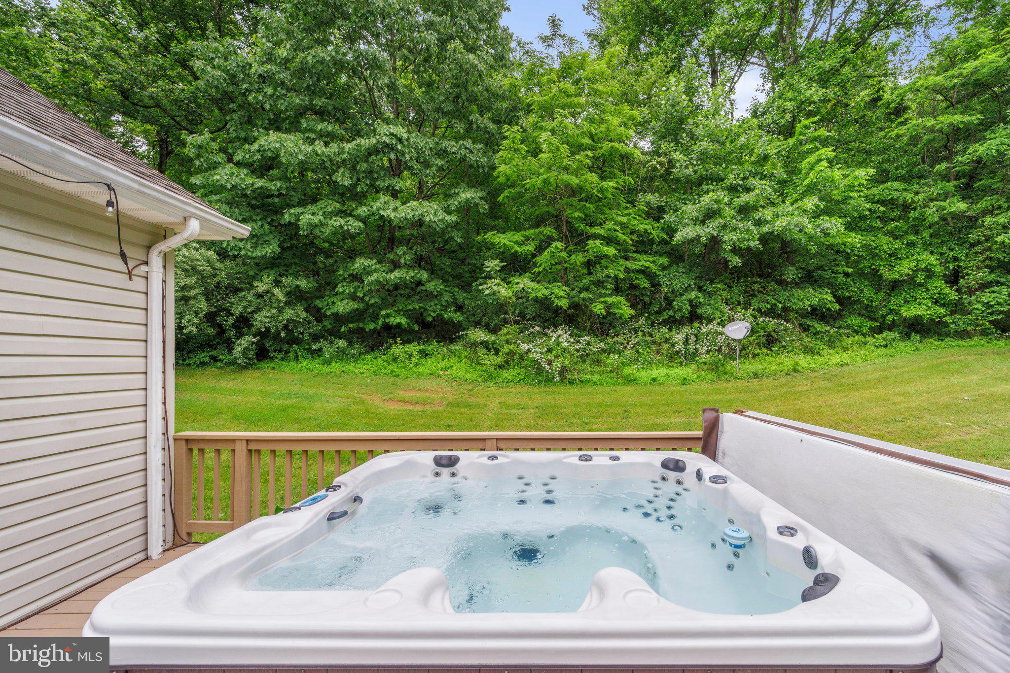 10448 Moreland Road Delaplane, VA 20144 - Photo 57 of 72 Hot Tub Conveys