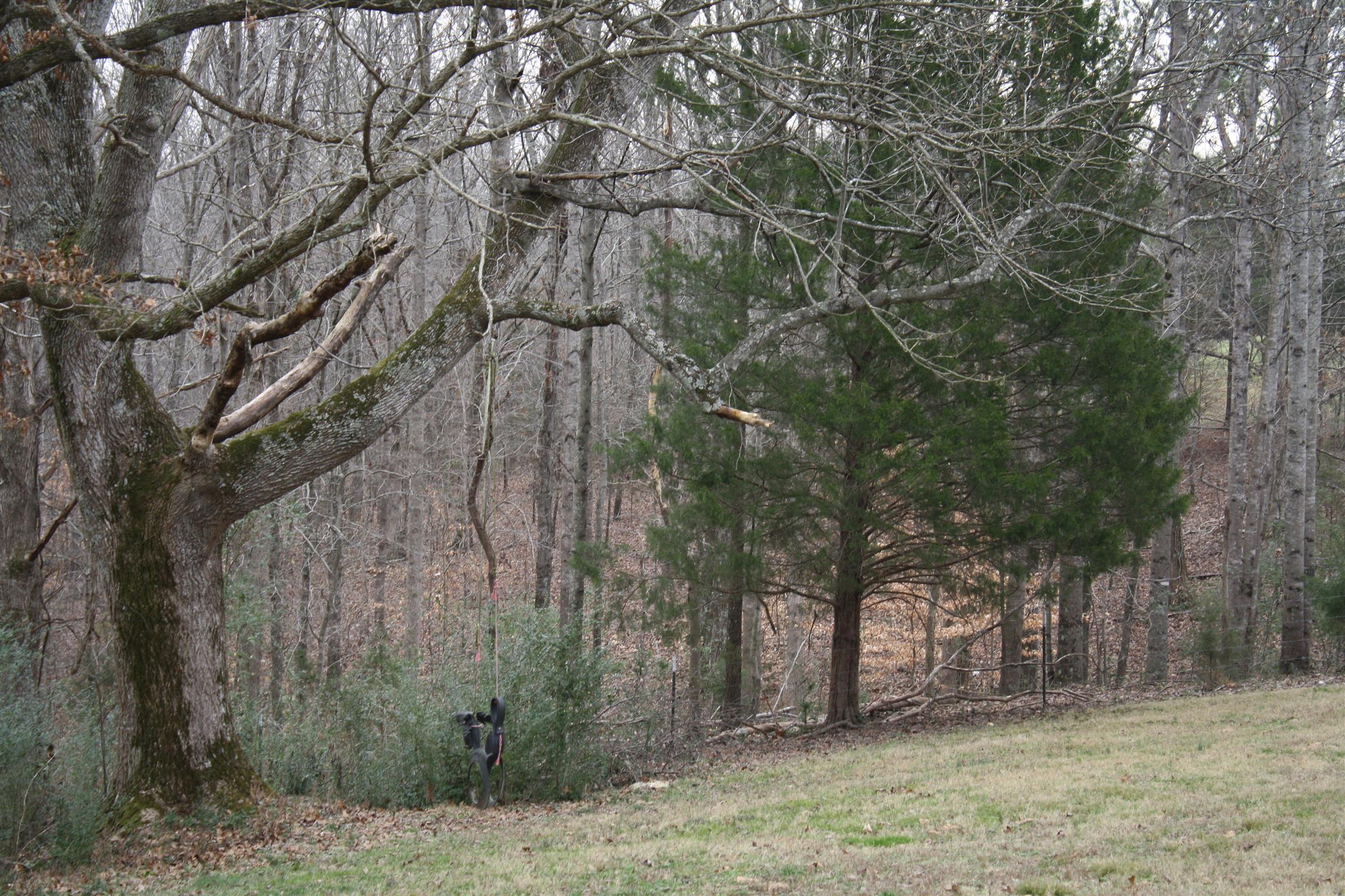 3266 Womble Ridge Road Ethridge, TN 38456 - Photo 17 of 28 Gallery Image 17