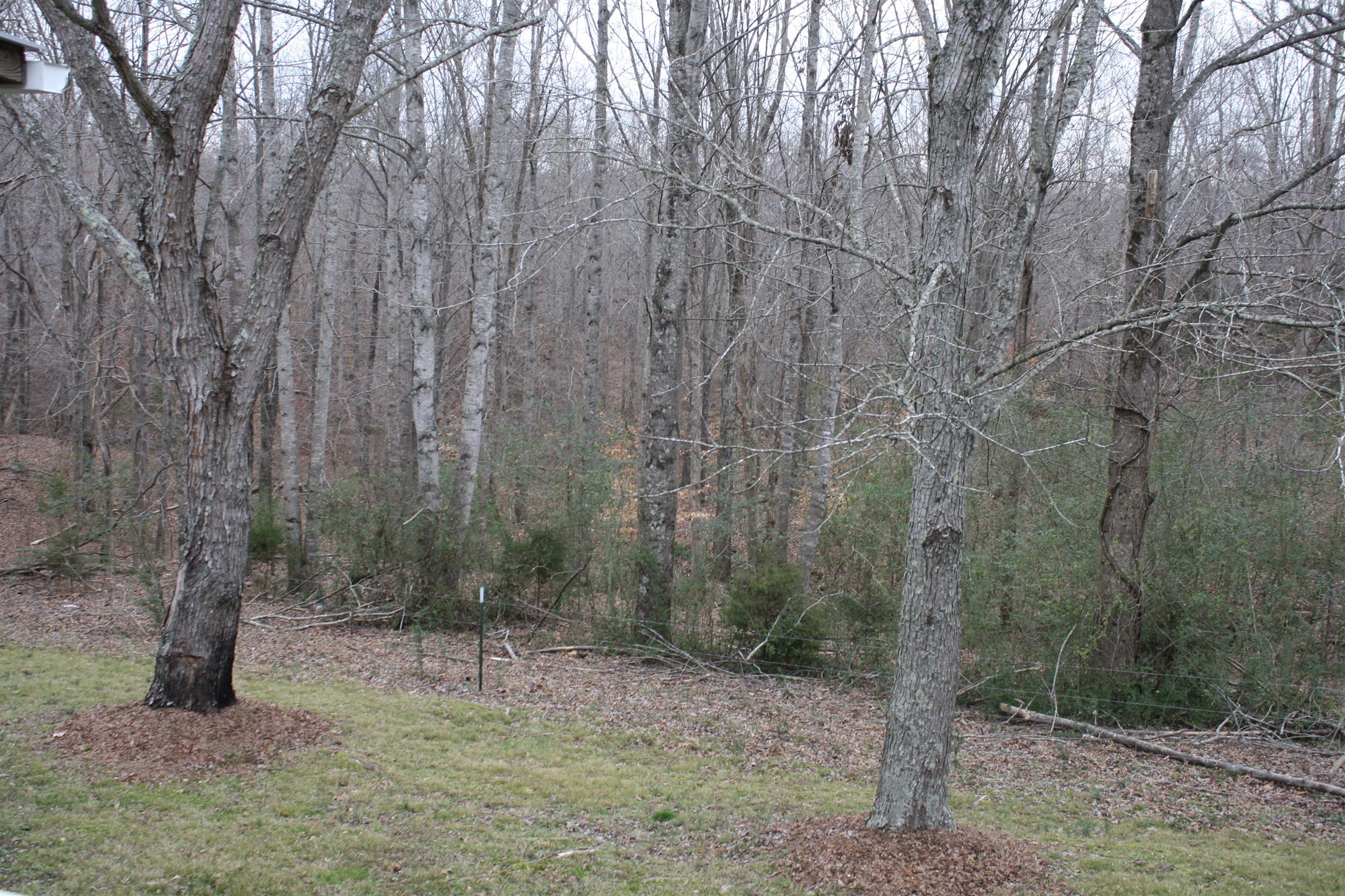 3266 Womble Ridge Road Ethridge, TN 38456 - Photo 19 of 28 Gallery Image 19