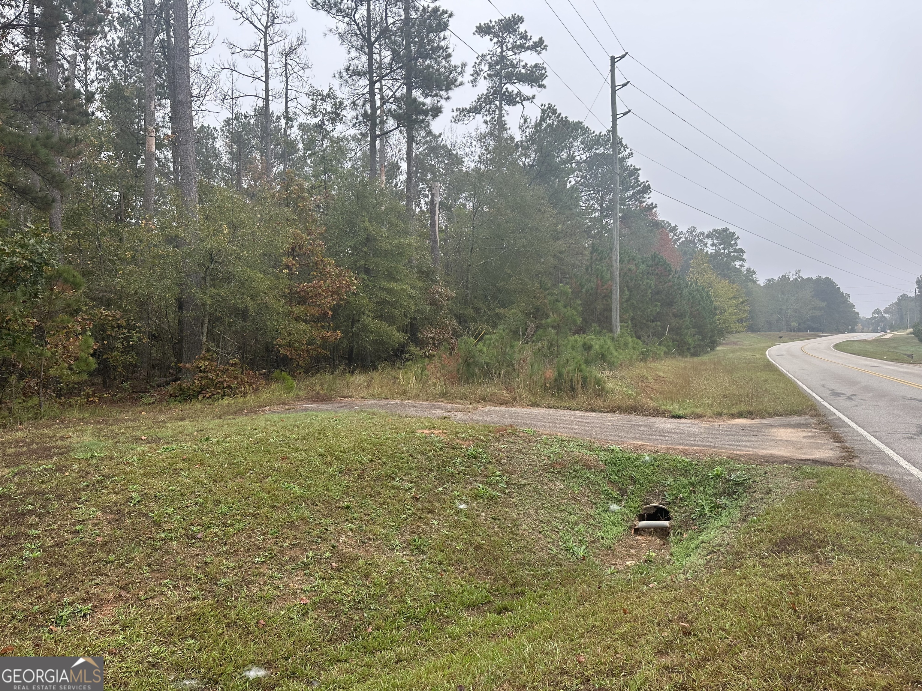 0 South Bethany Road Locust Grove, GA 30248 - Photo 1 of 1 View from road left of drive