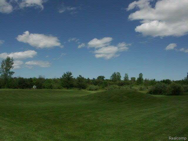 6100 Vincent Road Jeddo, MI 48032 - Photo 7 of 25 PICT0029.JPG