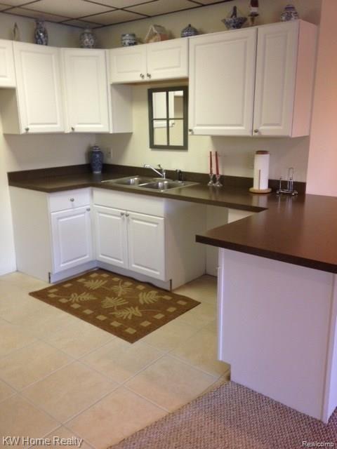 8029 Pine Knob Road Clarkston, MI 48348 - Photo 53 of 56 Pine knob 002 .JPG