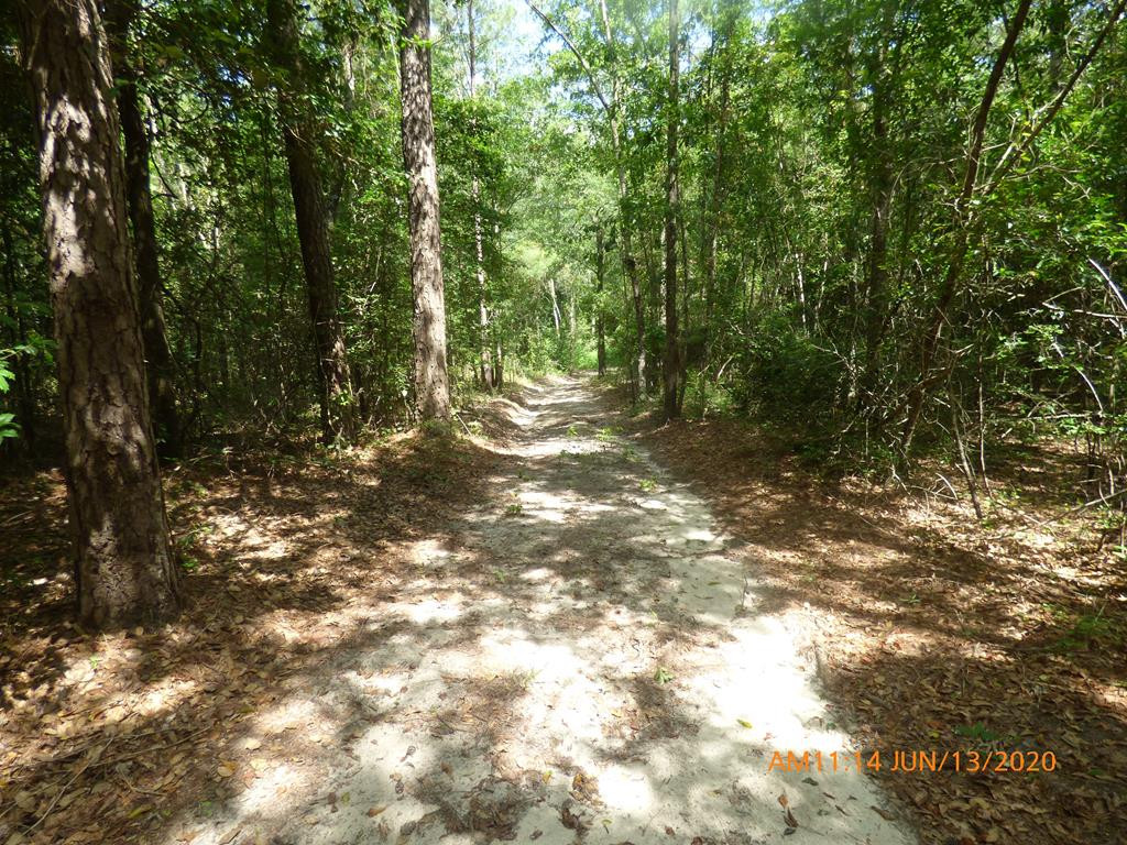 1615 Dairy Road Monetta, SC 29105 - Photo 27 of 30