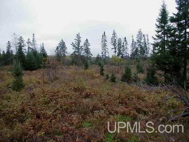 40-ac Swan Road Amasa, MI 49903 - Photo 7 of 9