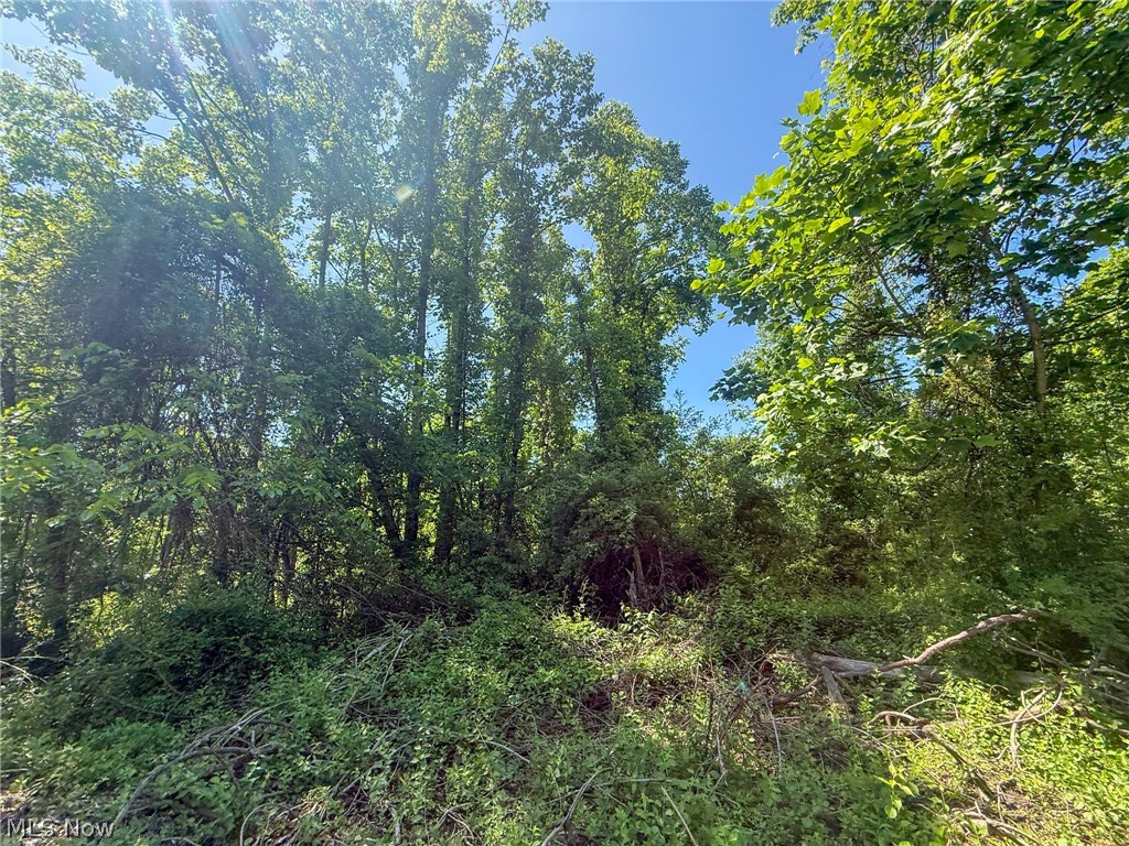 Lot 1 Altamont Road Mingo Junction, OH 43938 - Photo 26 of 31 Gallery Image 26