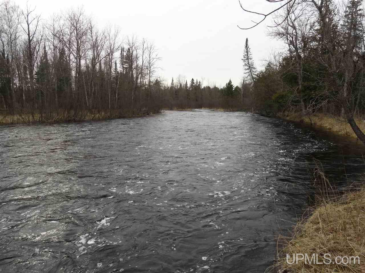 44-acres Ford River Road Arnold, MI 49831 - Photo 6 of 36
