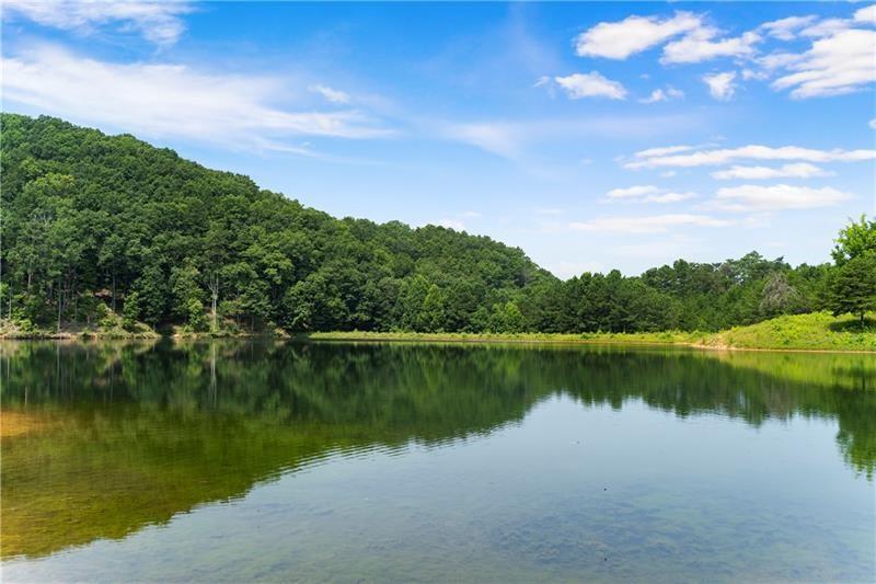 374 Nomad Court Ranger, GA 30734 - Photo 11 of 17 a view of a lake with a yard