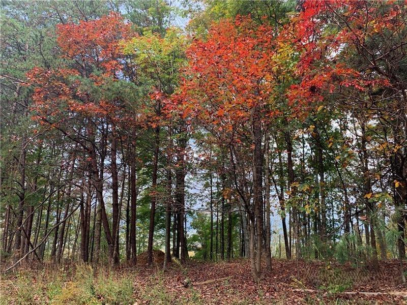 374 Nomad Court Ranger, GA 30734 - Photo 4 of 17 a view of forest