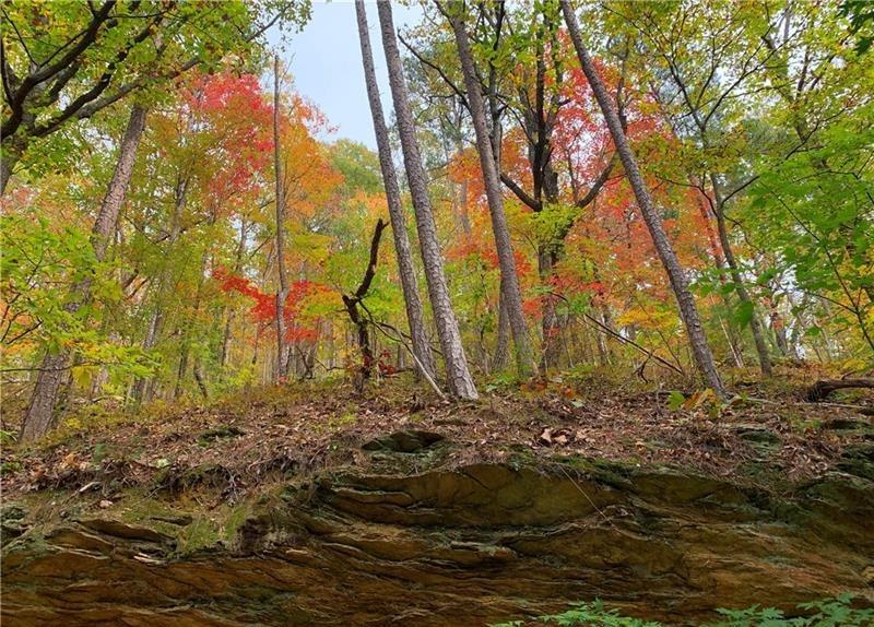 374 Nomad Court Ranger, GA 30734 - Photo 5 of 17