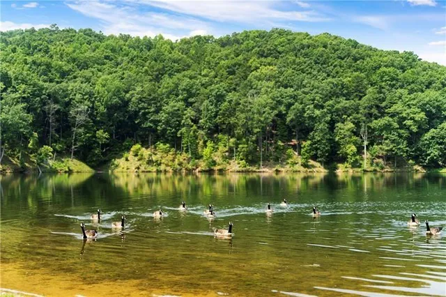 a view of lake background with house