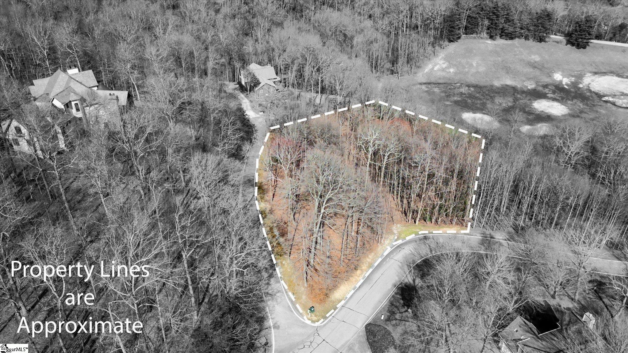 160 Shooting Star Lane Landrum, SC 29356 - Photo 15 of 16