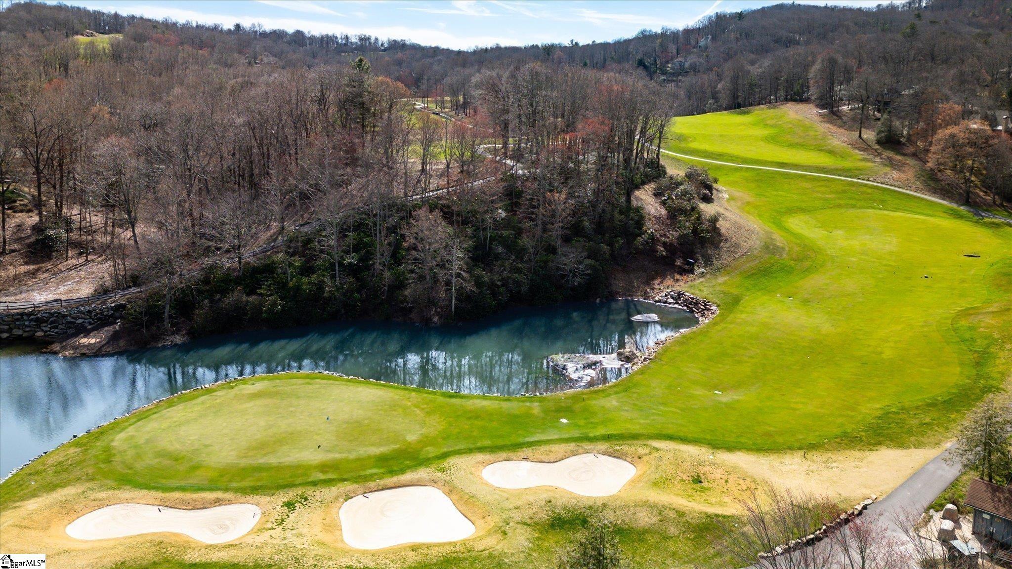 160 Shooting Star Lane Landrum, SC 29356 - Photo 2 of 16