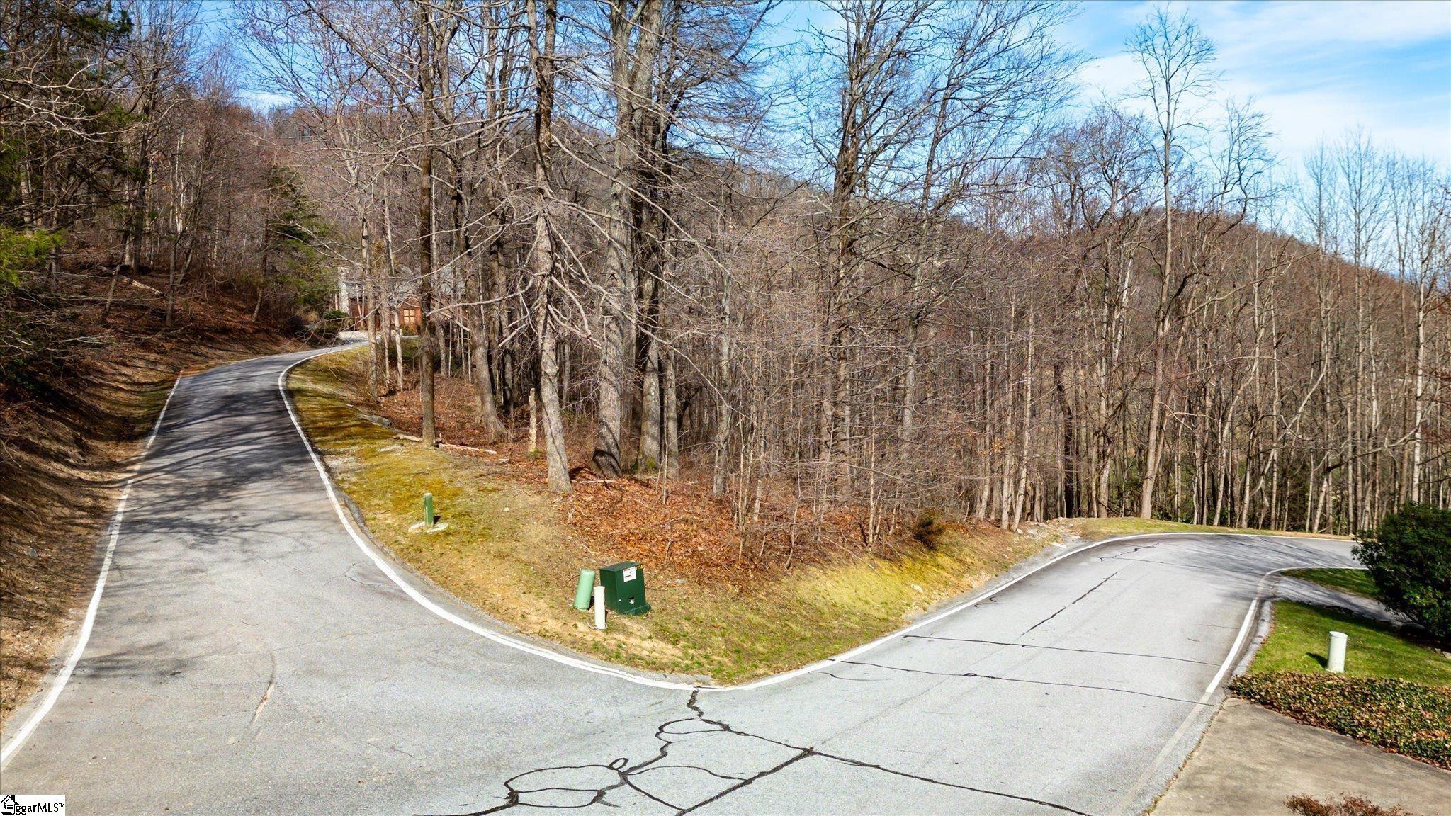 160 Shooting Star Lane Landrum, SC 29356 - Photo 5 of 16