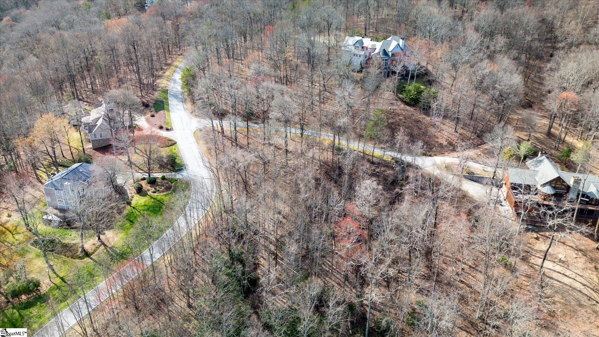 160 Shooting Star Lane Landrum, SC 29356 - Photo 7 of 16