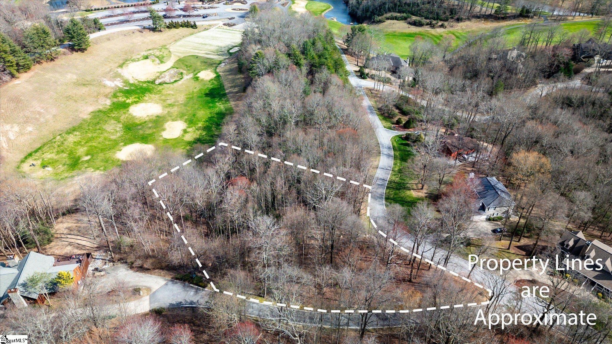 160 Shooting Star Lane Landrum, SC 29356 - Photo 8 of 16