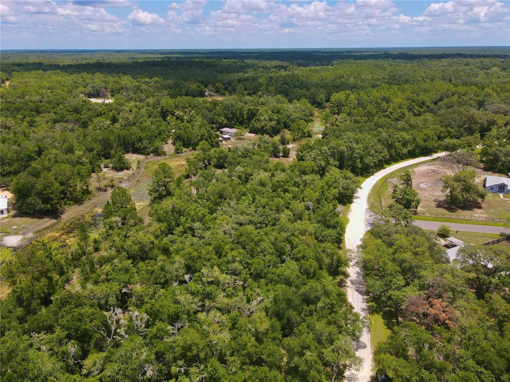 34237 Shaffer Drive Webster, FL 33597 - Photo 6 of 18