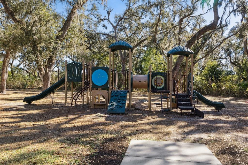 5714 Colony Glen Road Lithia, FL 33547 - Photo 60 of 66