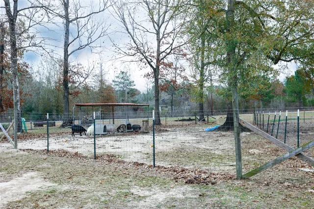 a view of a yard with large tree