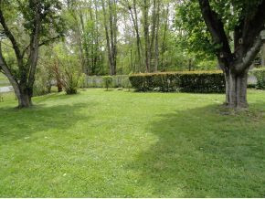 2409 Buffalo Road Johnson City, TN 37604 - Photo 12 of 16 Beautiful level yard