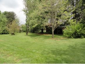 2409 Buffalo Road Johnson City, TN 37604 - Photo 13 of 16 Fenced for kids and pets