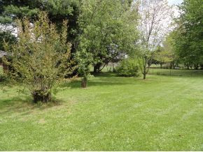2409 Buffalo Road Johnson City, TN 37604 - Photo 14 of 16 Photo 14