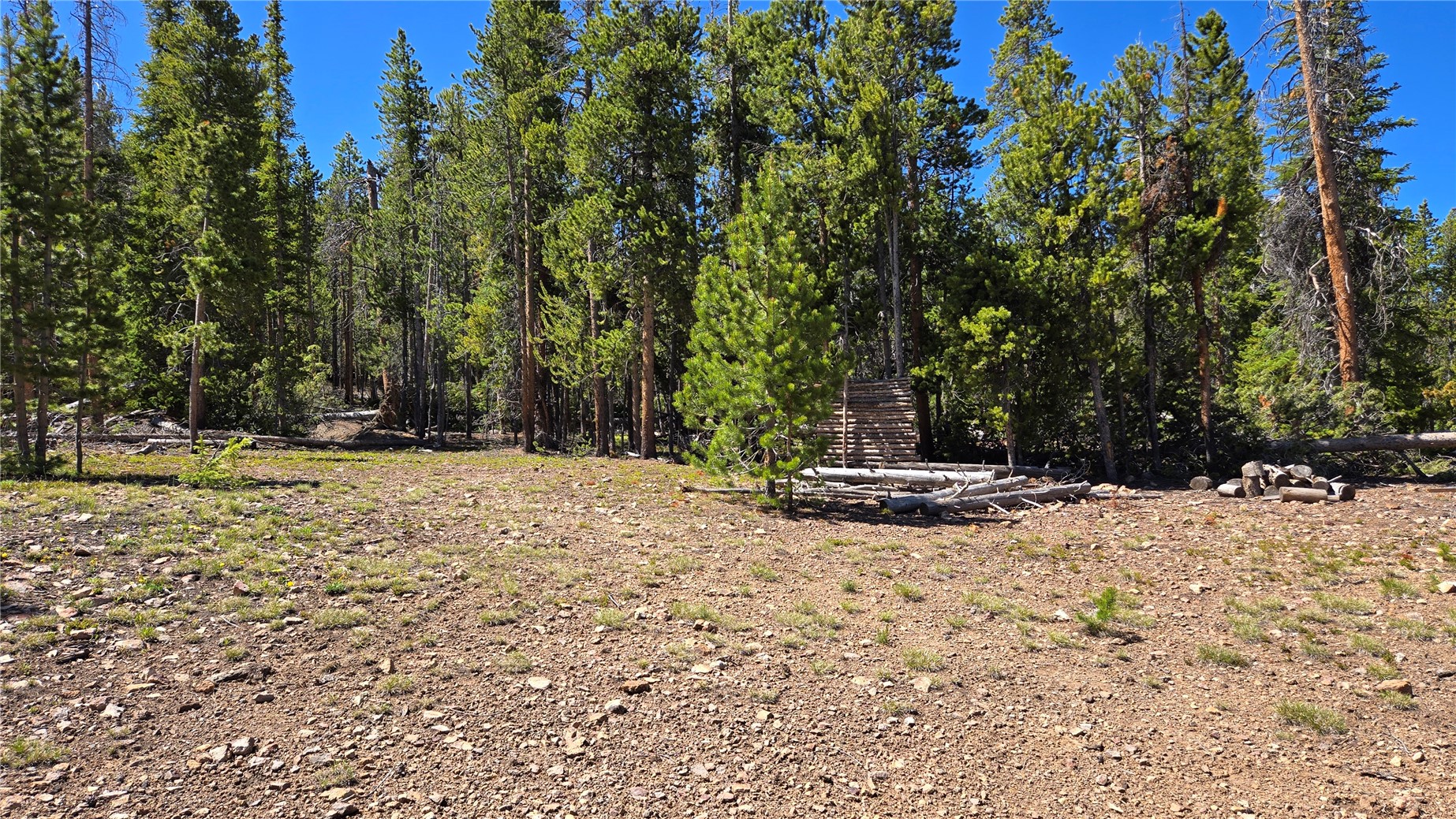 Tbd Summit Gulch Road Breckenridge, CO 80424 - Photo 26 of 30 a view of a yard with a tree
