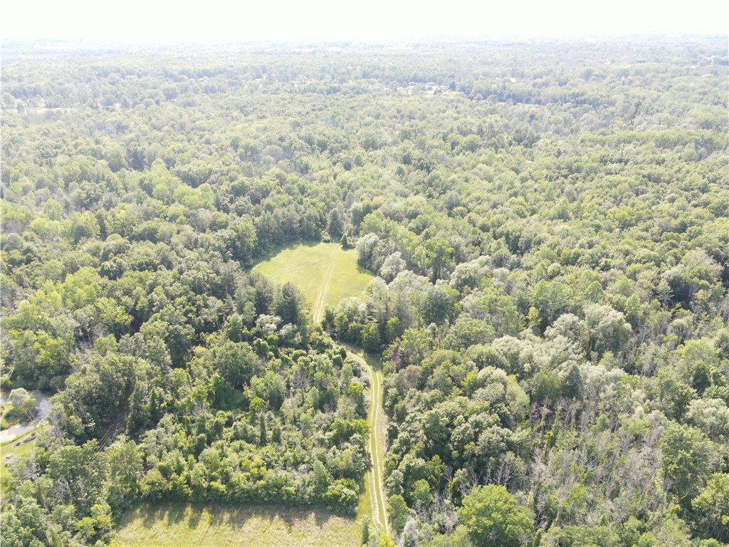 1453 Manitou Road Spencerport, NY 14559 - Photo 2 of 5