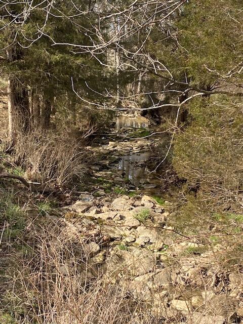 29.32-acre Needmore-Cordova Road Berry, KY 41003 - Photo 11 of 12 Gallery Image 11