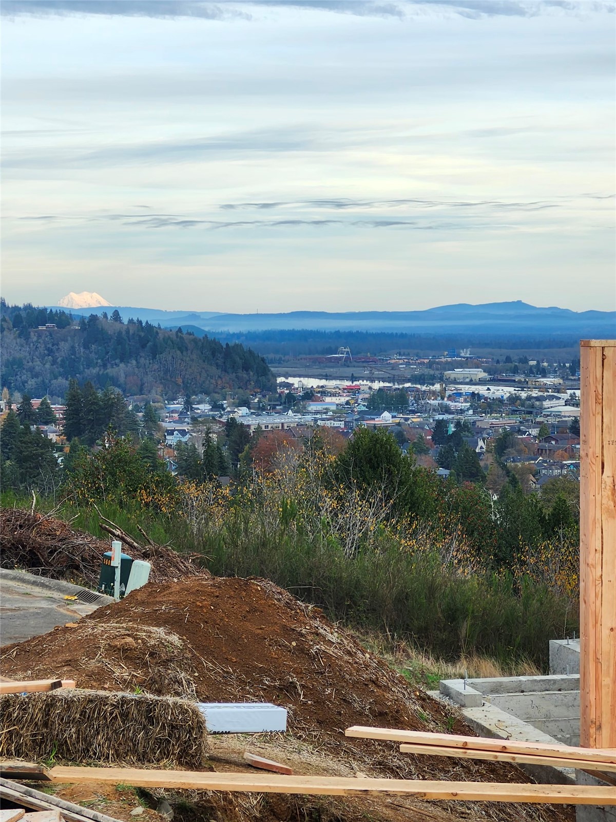 1823 Sam Benn Lane Aberdeen, WA 98520 - Photo 21 of 21