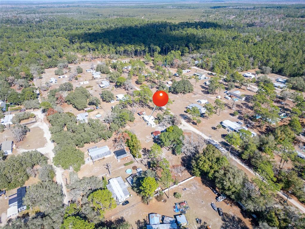 123 Miller Road Pomona Park, FL 32181 - Photo 34 of 36 a picture of flowers