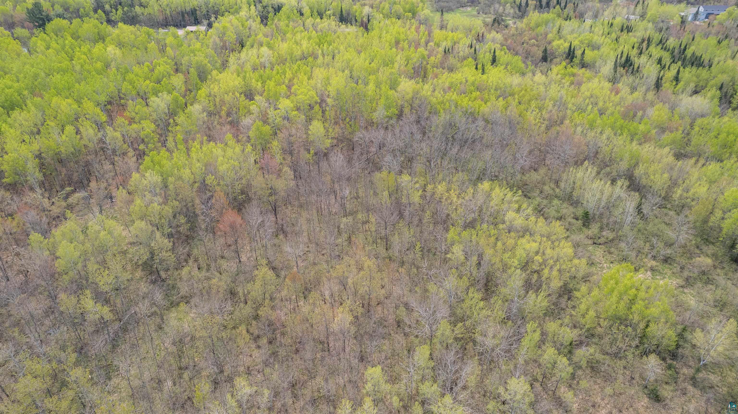 75-xx Brannan Road South Range, WI 54874 - Photo 8 of 15 Gallery Image 8