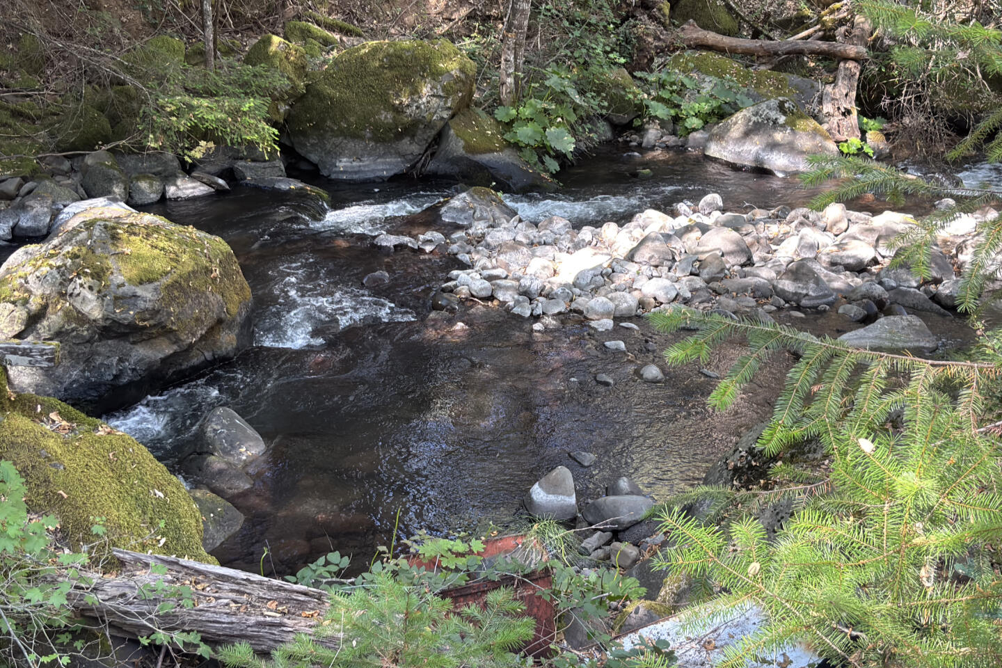 30183 Oak Run To Fern Road Whitmore, CA 96096 - Photo 27 of 37 Ye old swimming hole