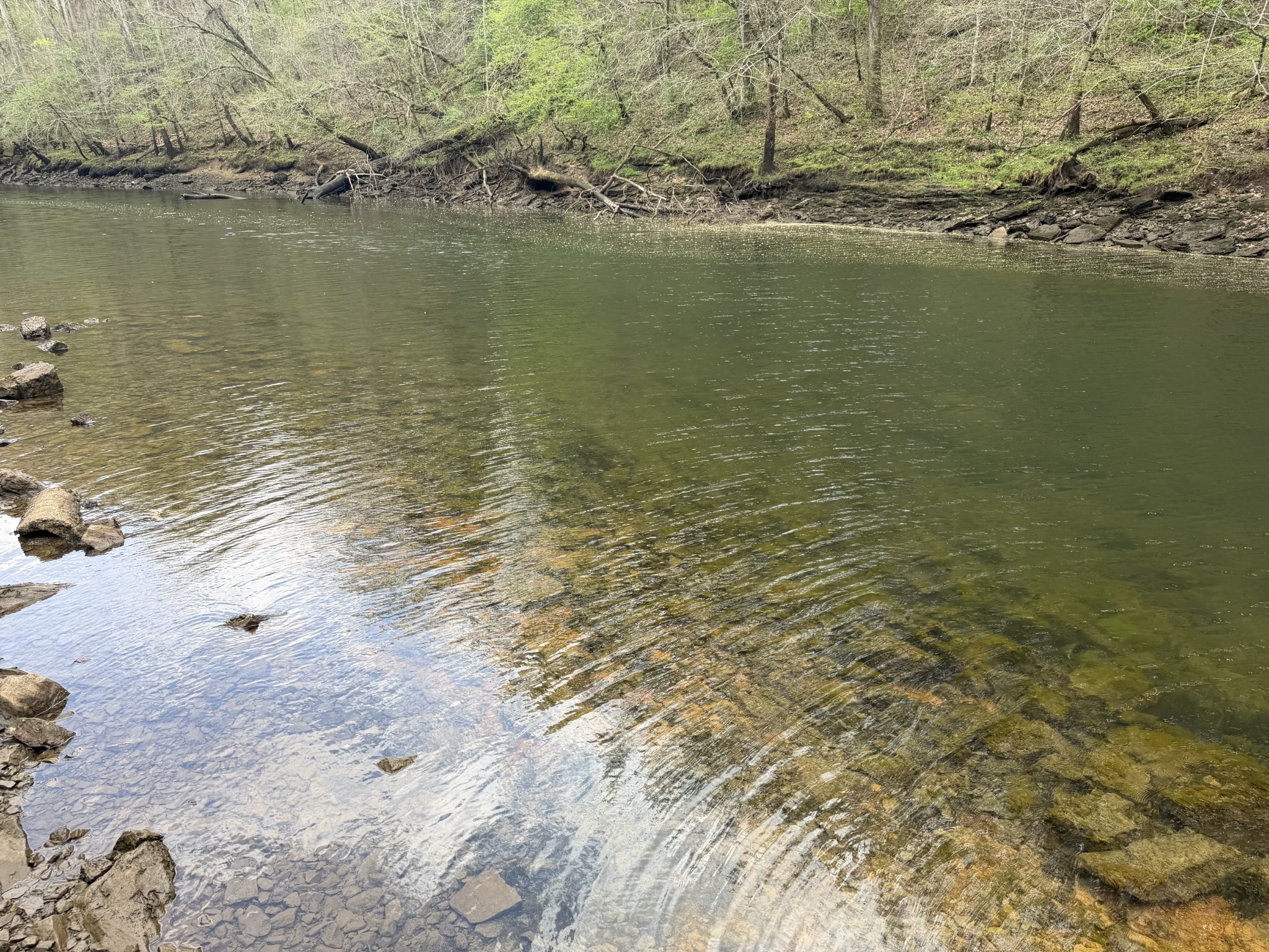 906 Riverside Circle Celina, TN 38551 - Photo 27 of 34