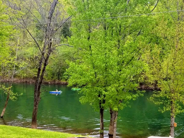 a view of a park with large trees