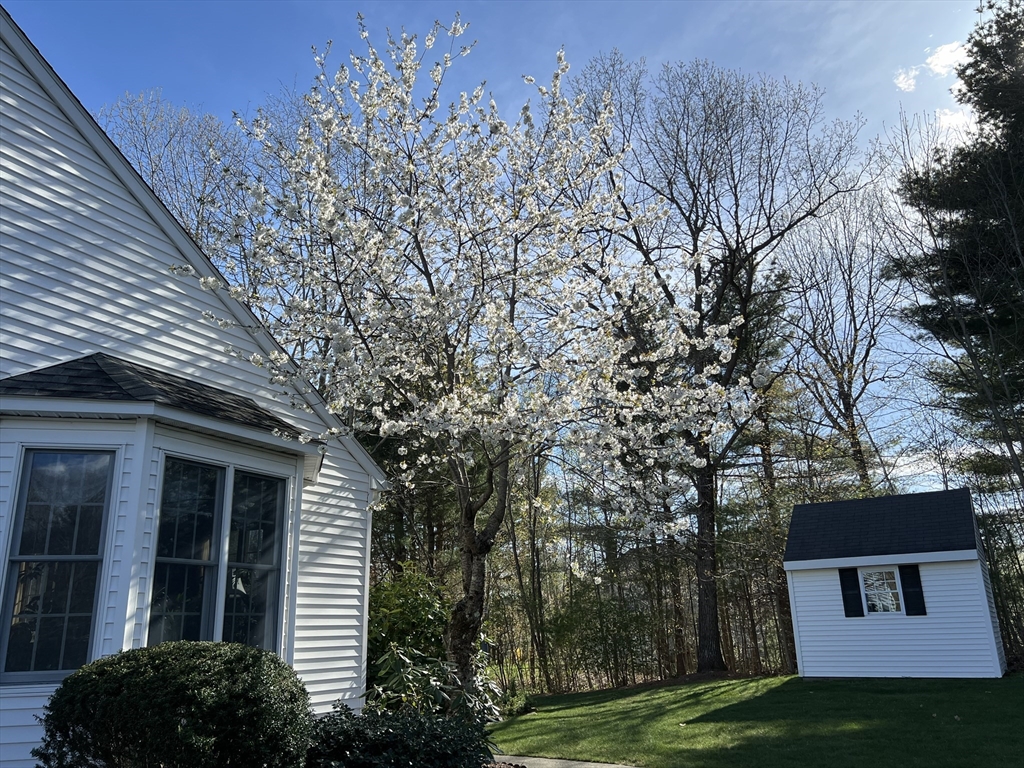 11 Sanfred Road Leicester, MA 01524 - Photo 6 of 42 Gallery Image 6