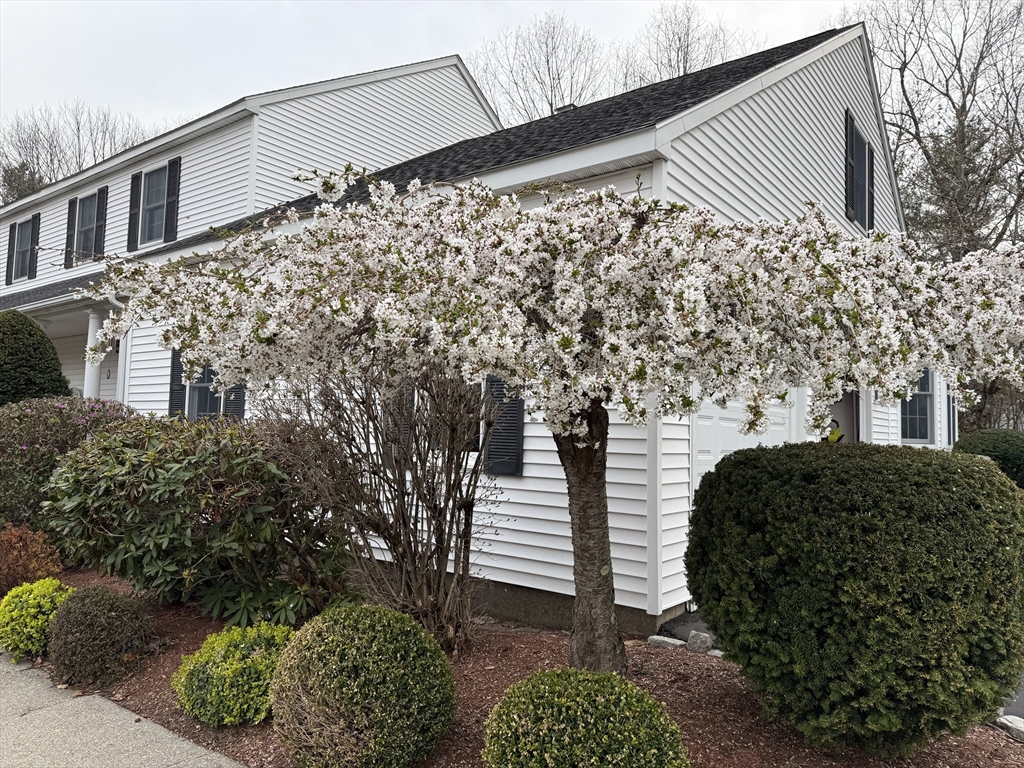11 Sanfred Road Leicester, MA 01524 - Photo 8 of 42 Gallery Image 8