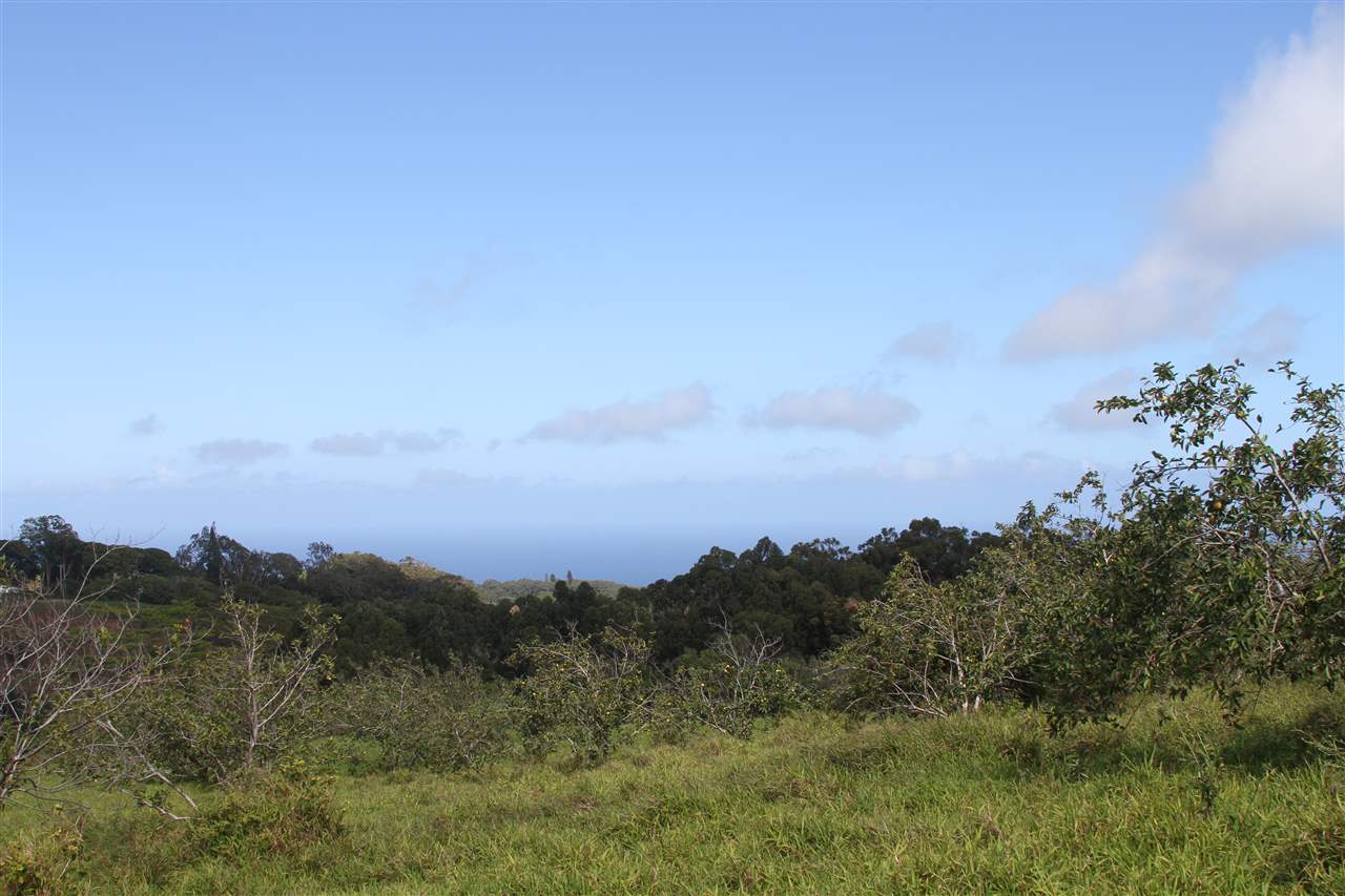 1086 Upper Ulumalu Road Haiku, HI 96708 - Photo 1 of 24 a view of a city