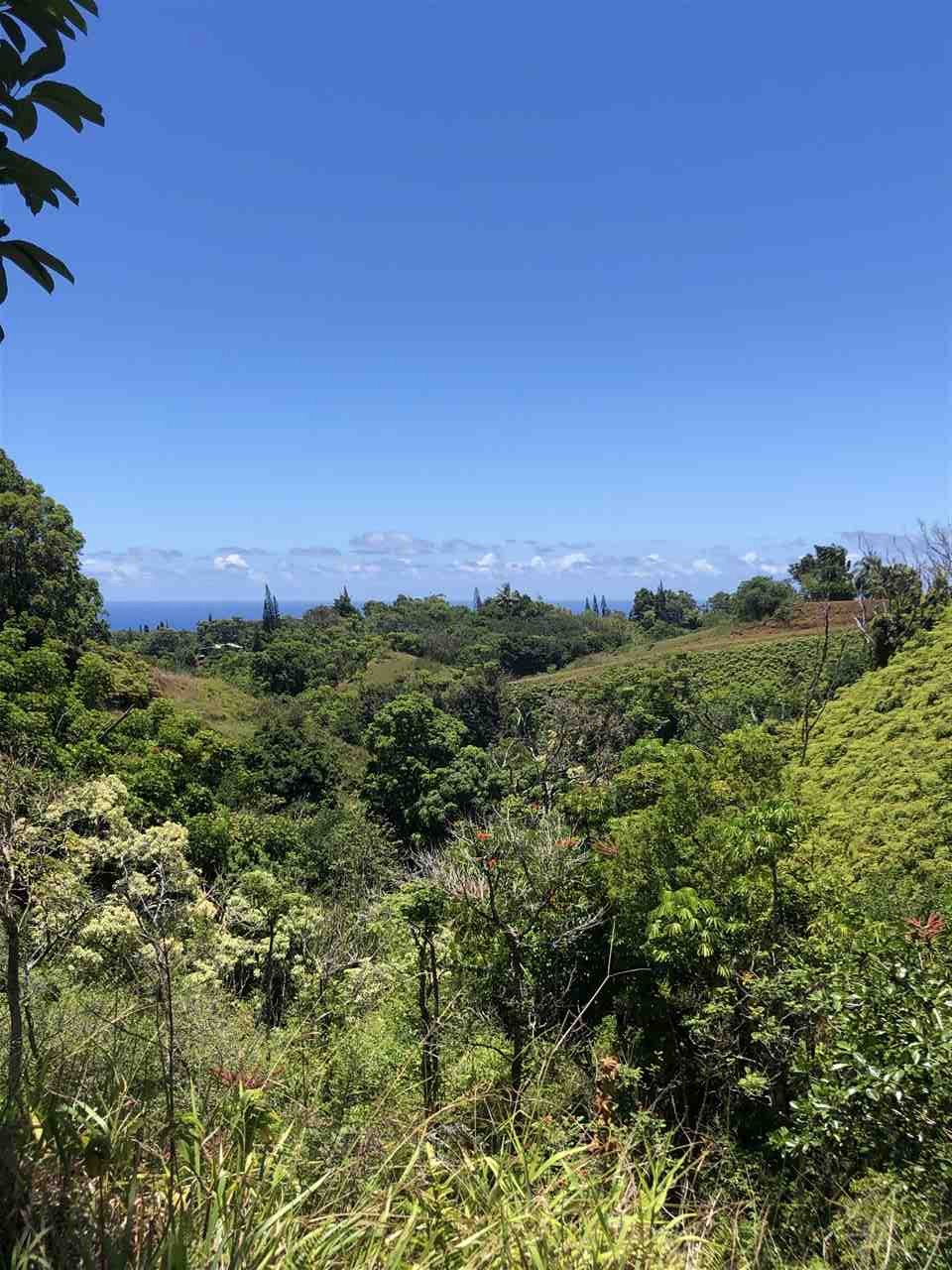 1086 Upper Ulumalu Road Haiku, HI 96708 - Photo 12 of 24 a view of a city with lush green forest