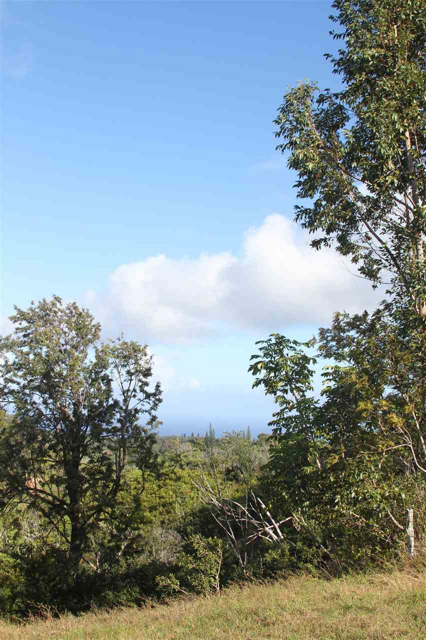 1086 Upper Ulumalu Road Haiku, HI 96708 - Photo 15 of 24 a view of a bunch of flowers and trees