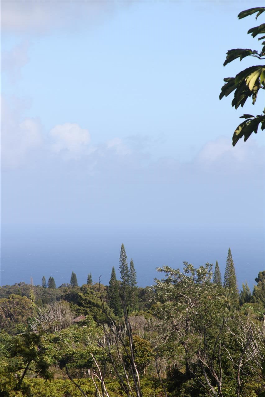 1086 Upper Ulumalu Road Haiku, HI 96708 - Photo 17 of 24 a view of a city and a mountain
