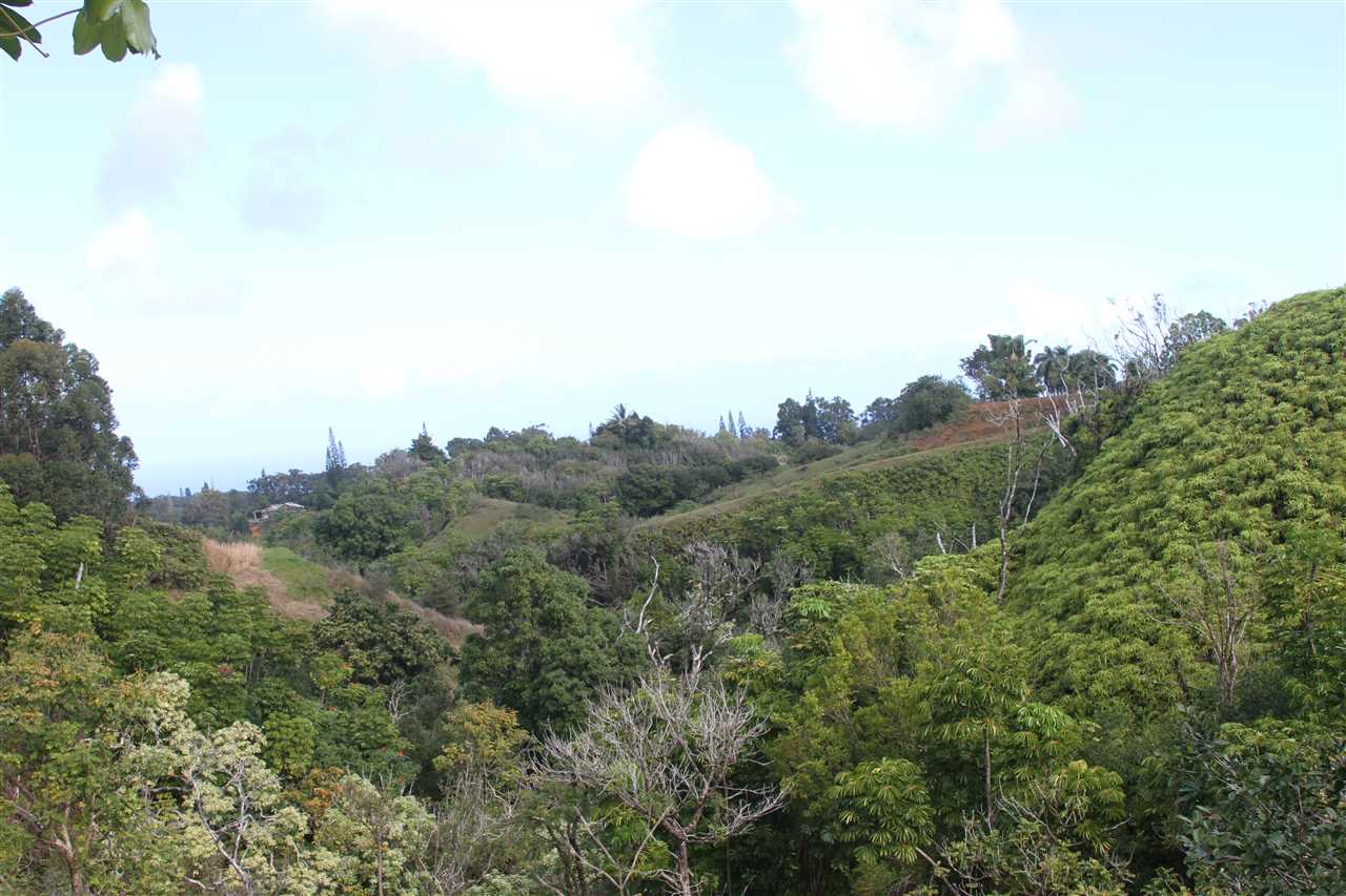 1086 Upper Ulumalu Road Haiku, HI 96708 - Photo 19 of 24 an aerial view of mountain with trees