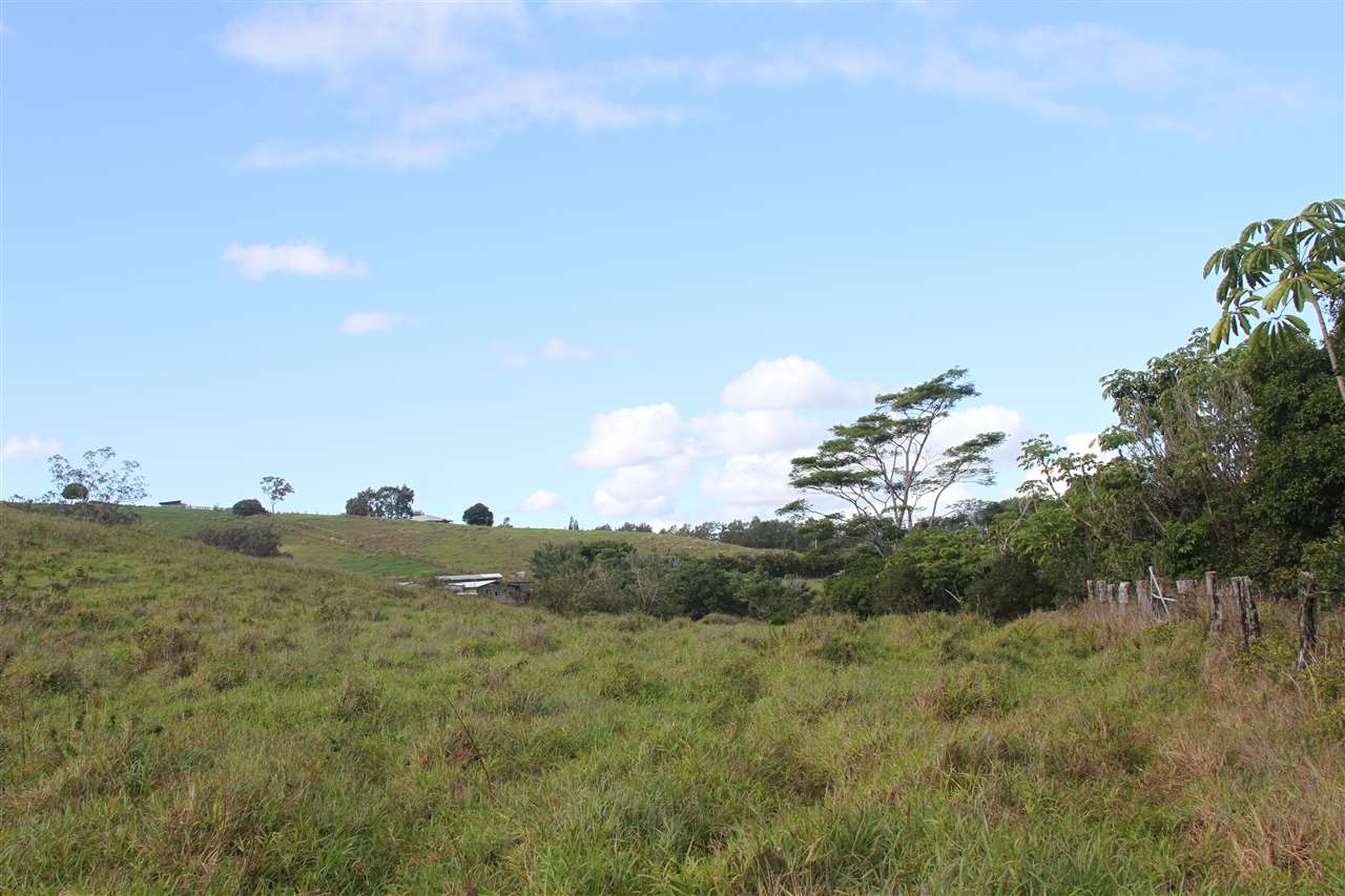 1086 Upper Ulumalu Road Haiku, HI 96708 - Photo 23 of 24 a view of a mountain