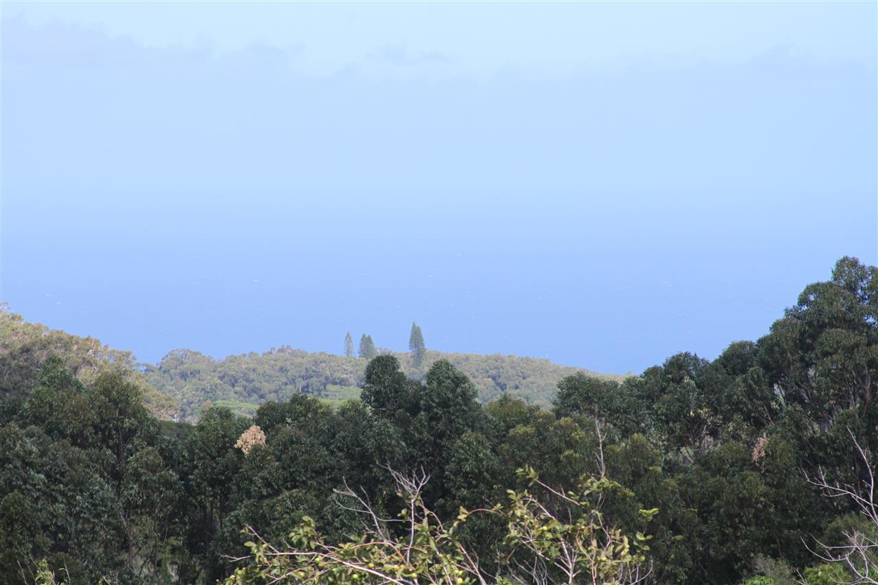 1086 Upper Ulumalu Road Haiku, HI 96708 - Photo 5 of 24 a view of a city