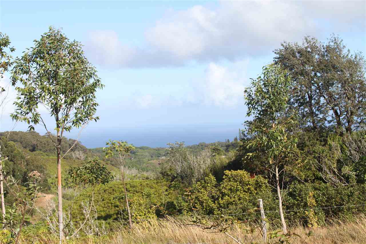 1086 Upper Ulumalu Road Haiku, HI 96708 - Photo 6 of 24 a view of a yard