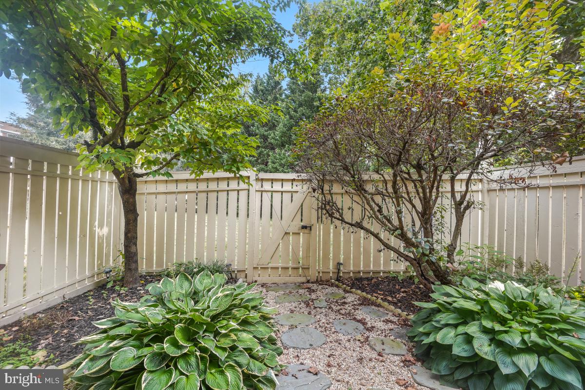 1705 Sundance Drive Reston, VA 20194 - Photo 15 of 29 a backyard of a house with lots of green space