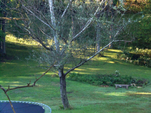 1066 Woods Ferry Road Bedford, IN 47421 - Photo 28 of 30
